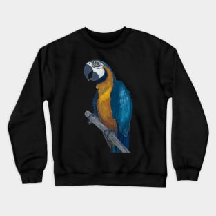 Blue + Yellow Macaw on a Twig Scientific Drawing Crewneck Sweatshirt